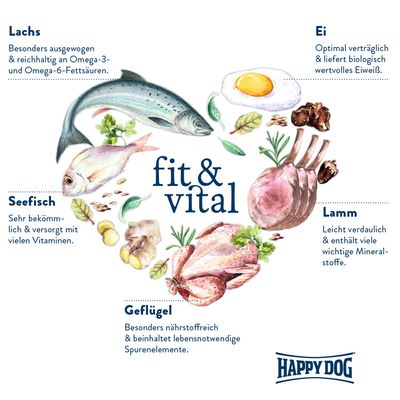 fit & vital, Happy Dog. Ingrédients illustrés : saumon, poisson de mer, œuf, agneau, volaille. Textes en allemand sur les bienfaits nutritionnels de chaque ingrédient.